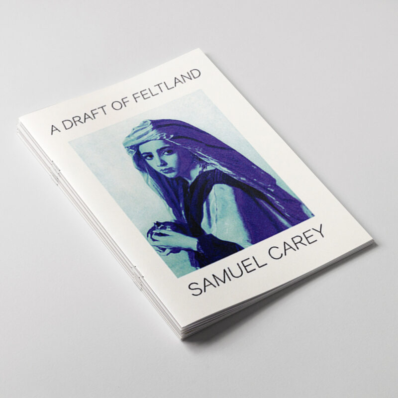 Book cover for Feltland by Samuel Carey