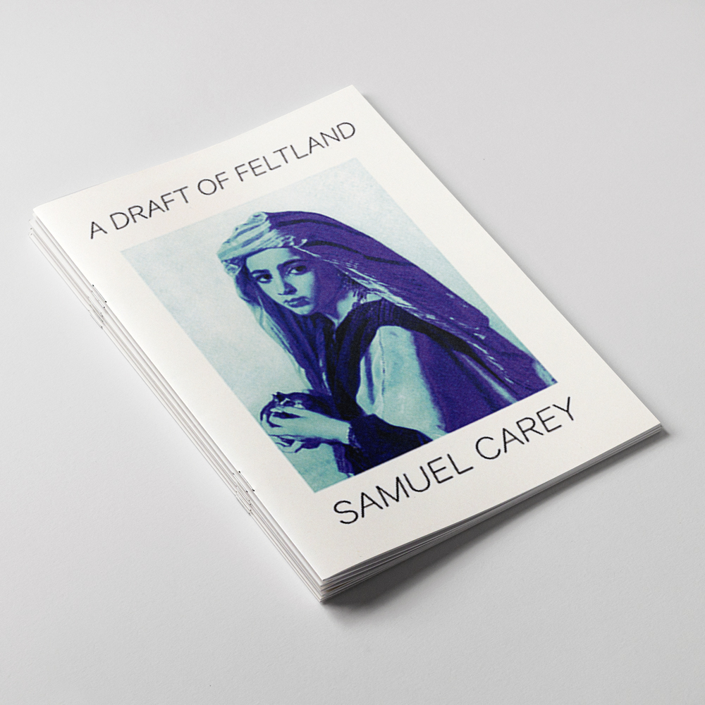 Book cover for Feltland by Samuel Carey