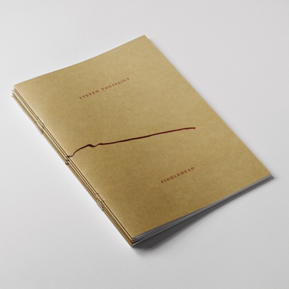 Book cover for Fiddlehead by Steven Toussaint