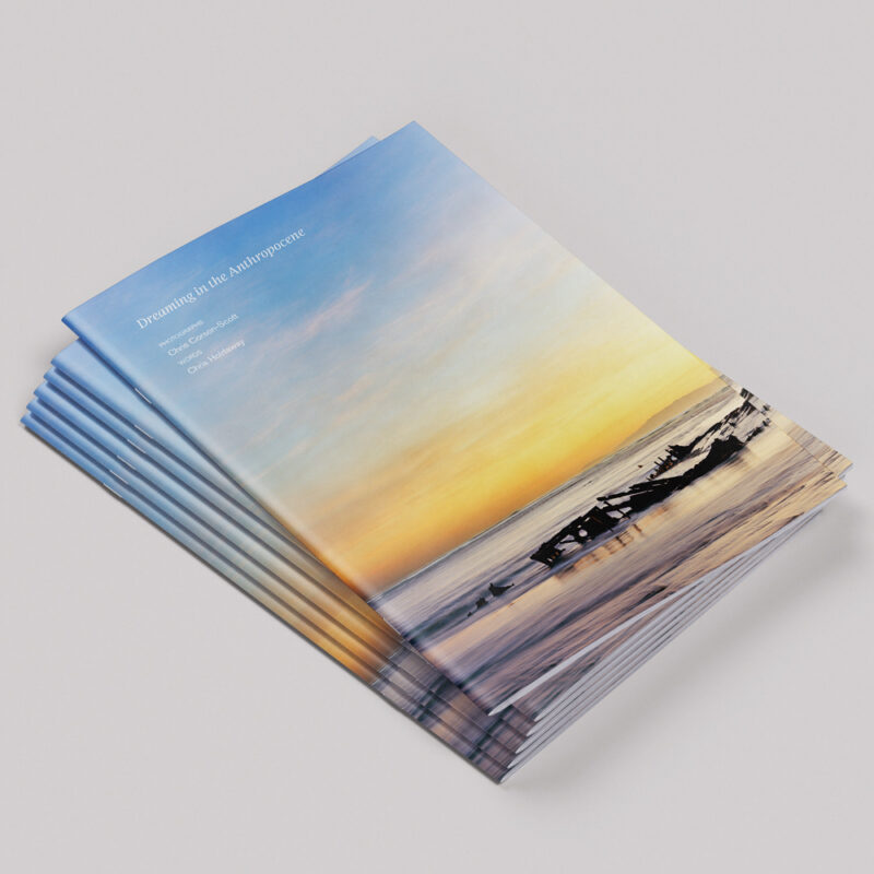 Book cover for Dreaming in the Anthropocene