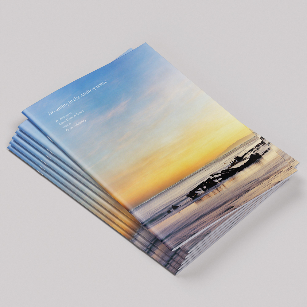 Book cover for Dreaming in the Anthropocene