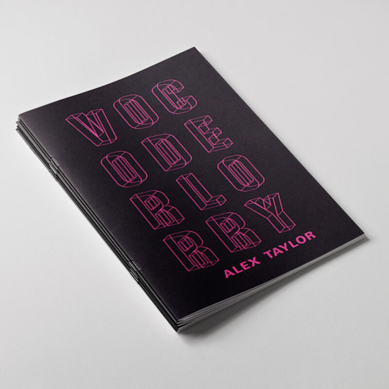 Book cover for Vocoder Lorry by Alex Taylor