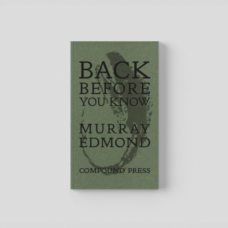 Book cover for Back Before You Know by Murray Edmond