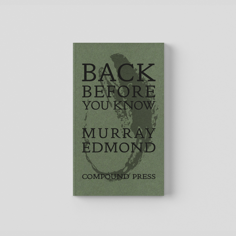 Book cover for Back Before You Know by Murray Edmond