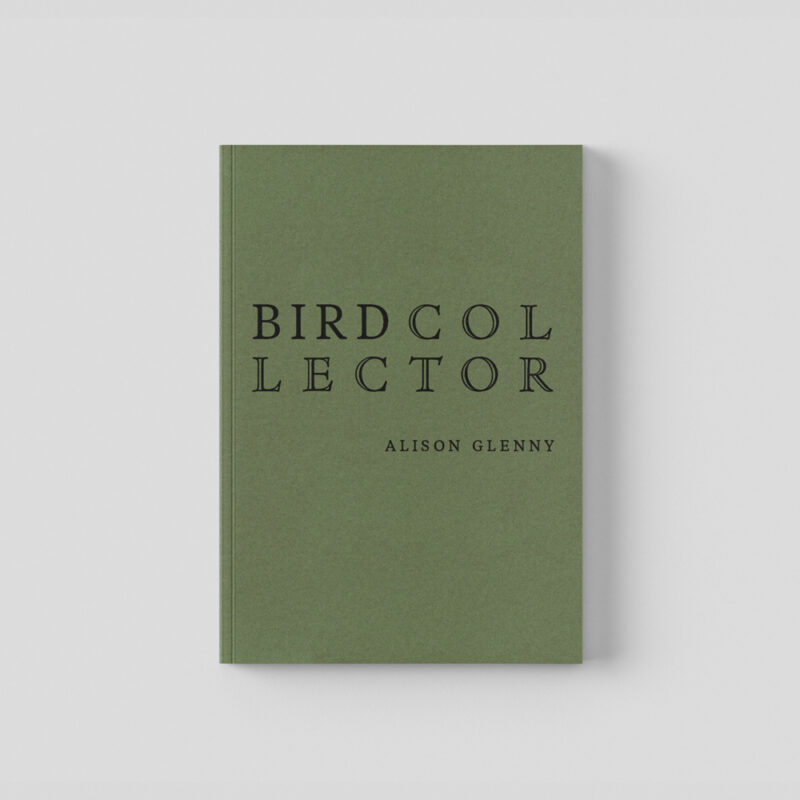 Book cover for Bird Collector by Alison Glenny