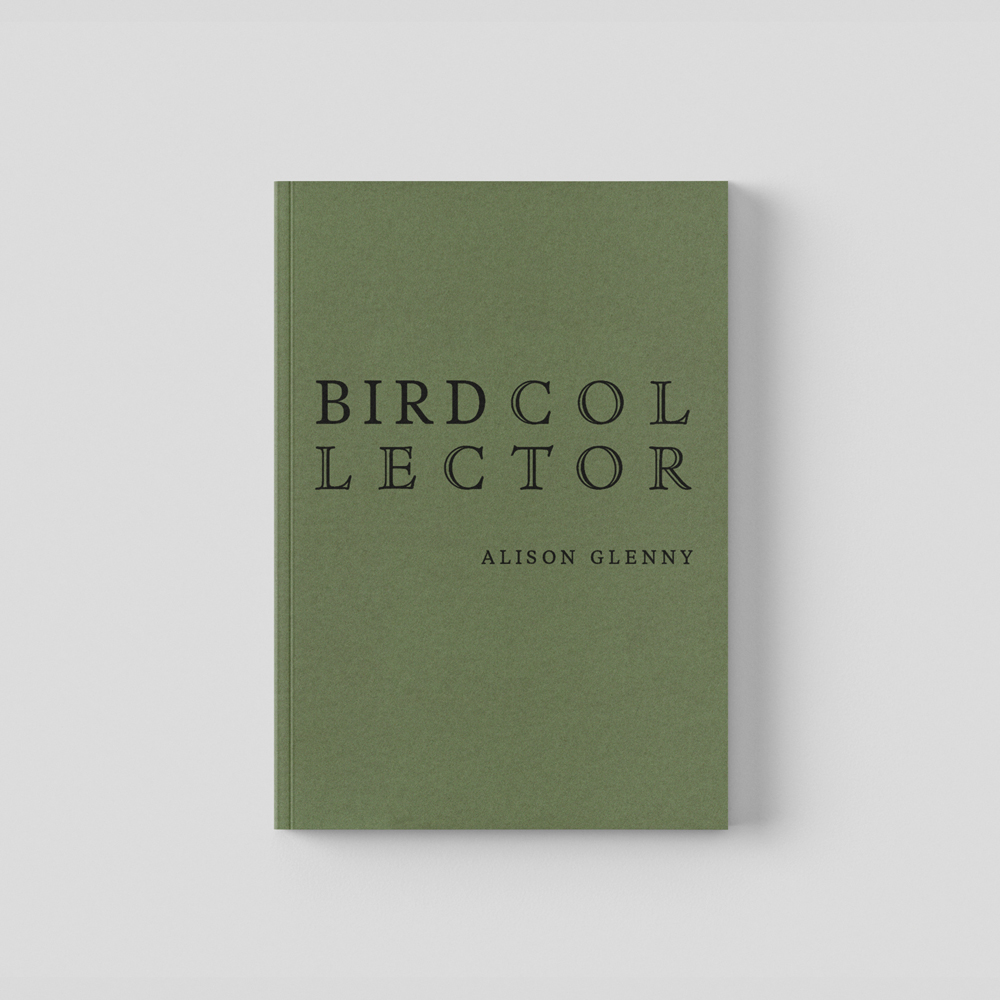 Book cover for Bird Collector by Alison Glenny
