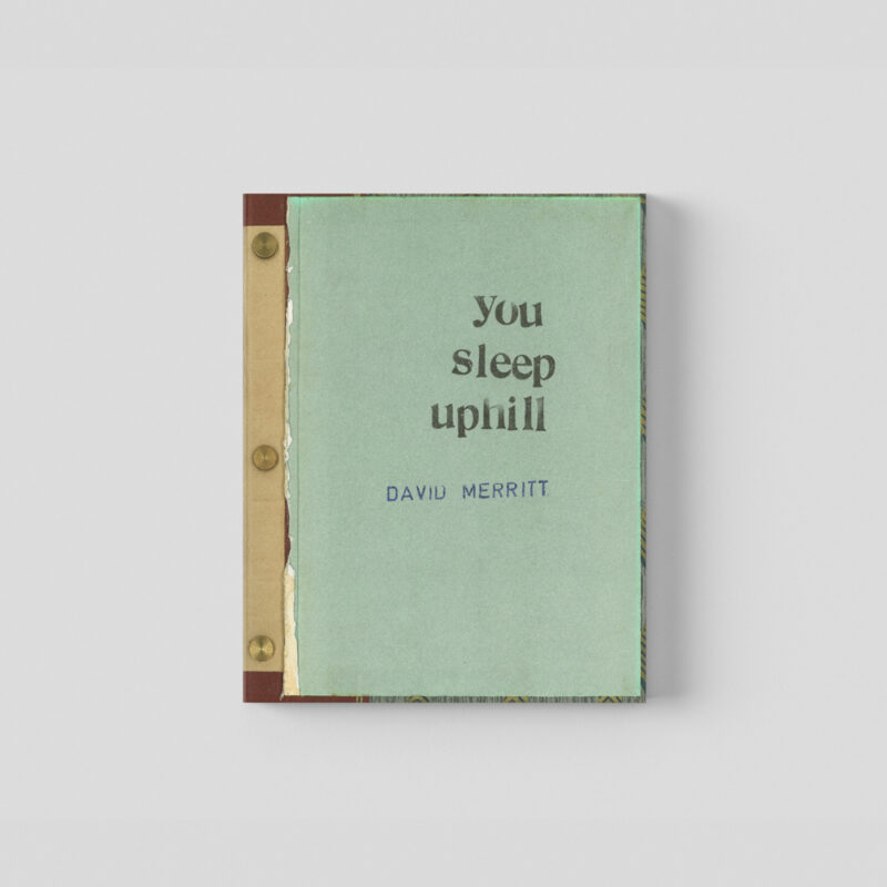 Book cover for You Sleep Uphill by David Merritt