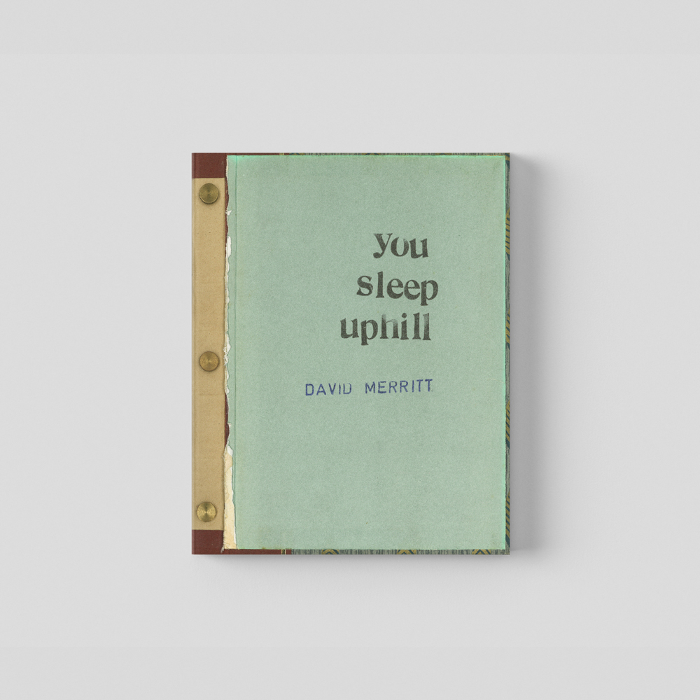 Book cover for You Sleep Uphill by David Merritt